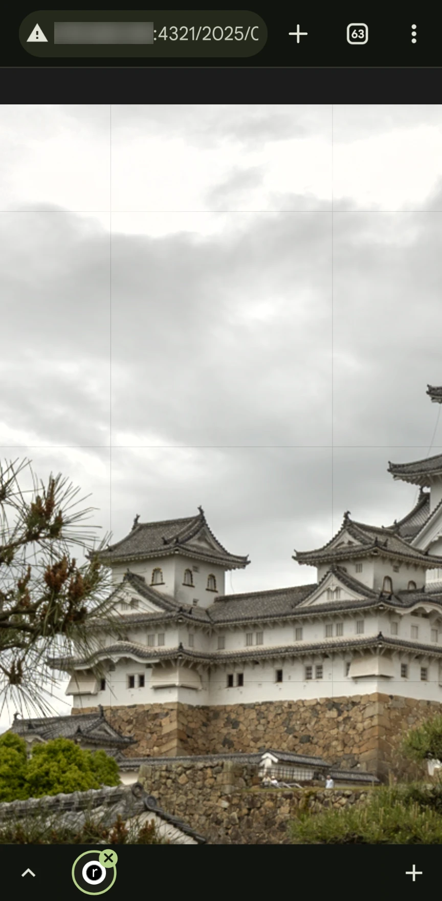 A screenshot of the gain map image zoomed in on this post in Chrome on my Pixel 8