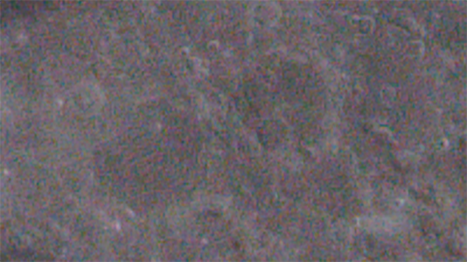 A crop of a single photo taken, with sharpening and noise reduction turned off. It is less sharp, and filled with colour specks.