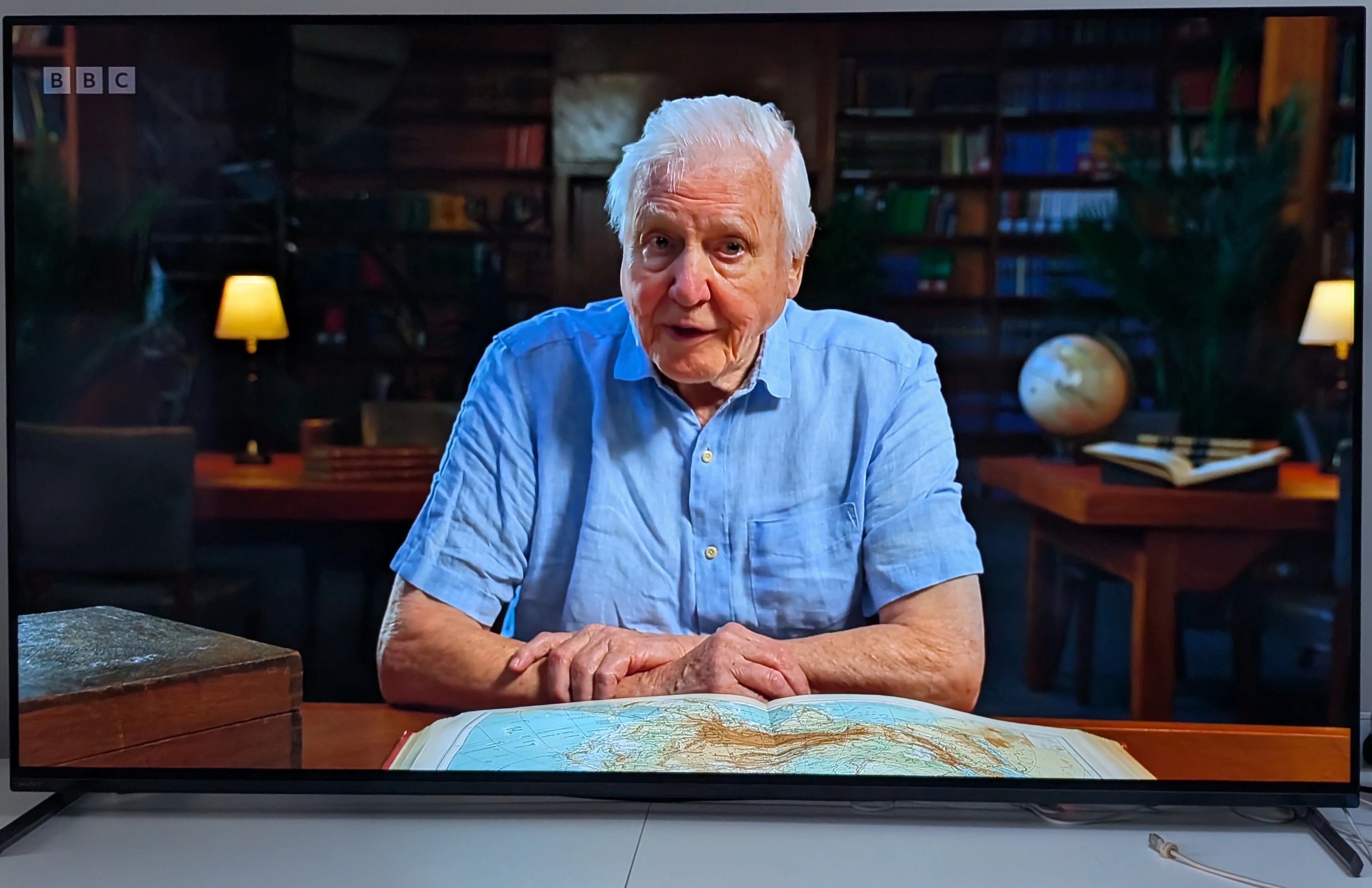 A photo of a Sony TV showing a similar scene as in the first previous photo, but without distortion.